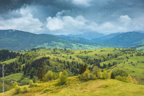 Carpathian spring landscape
