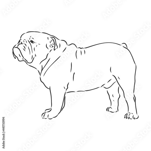 Line art of french bulldog with three difference of face