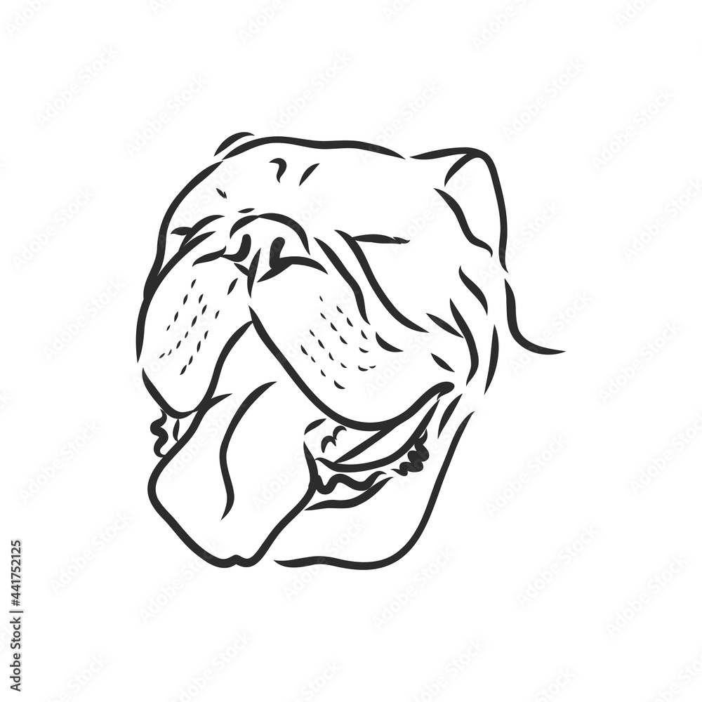 Line art of french bulldog with three difference of face Line art of french bulldog with three difference of face