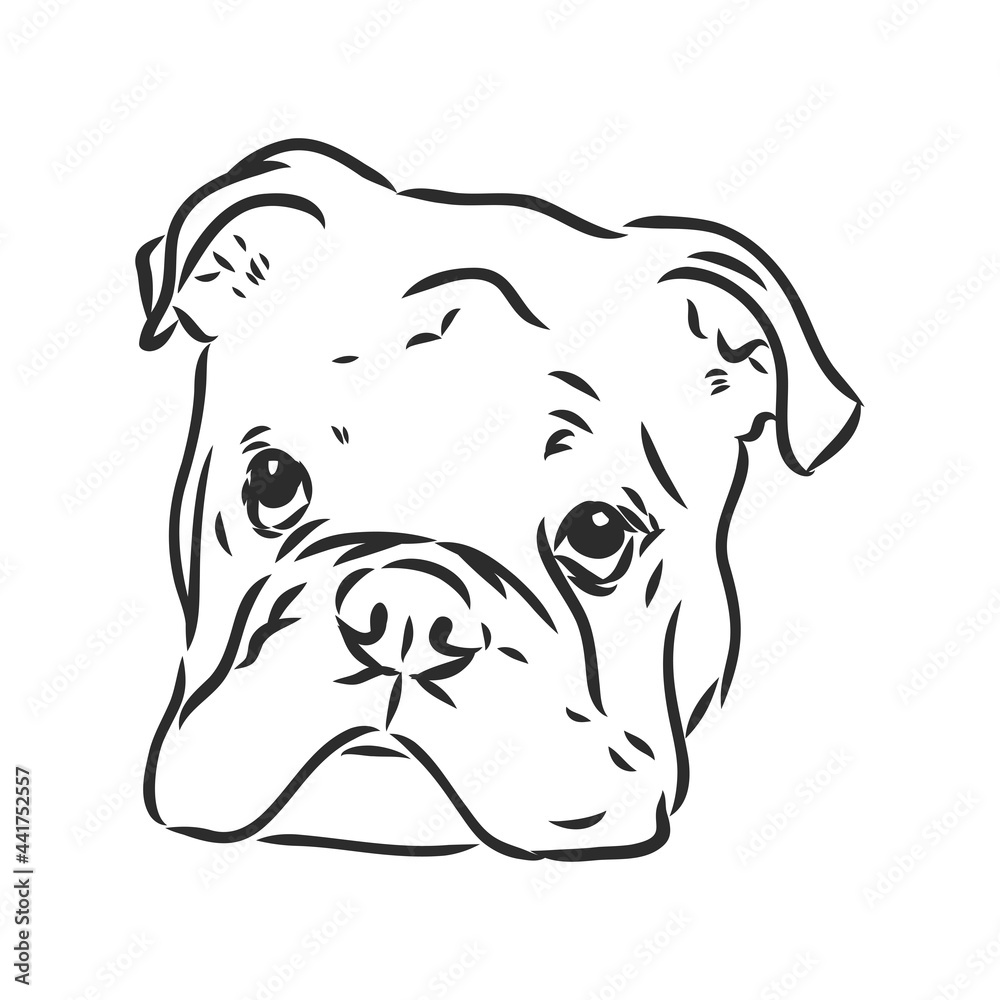 Line art of french bulldog with three difference of face Line art of french bulldog with three difference of face