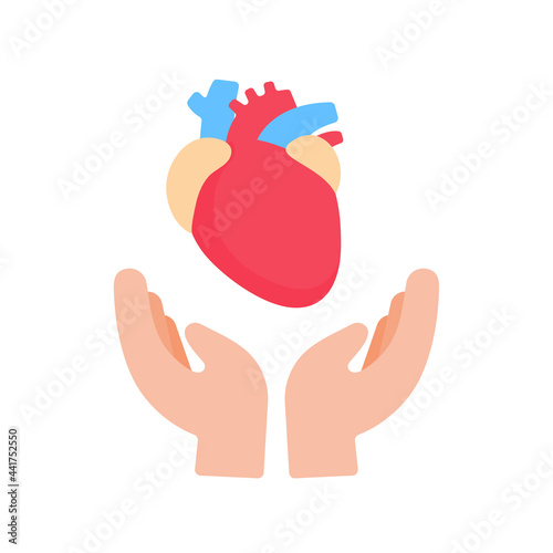hand that supports internal organs The concept of organ donation for the treatment of patients