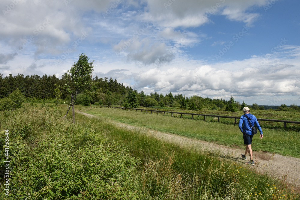 Belgique Wallonie Hautes Fagnes environnement