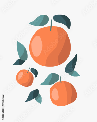 Stylized hand drawn orange fruit with leaves. Hand drawn vector orange illustration isolated on white background