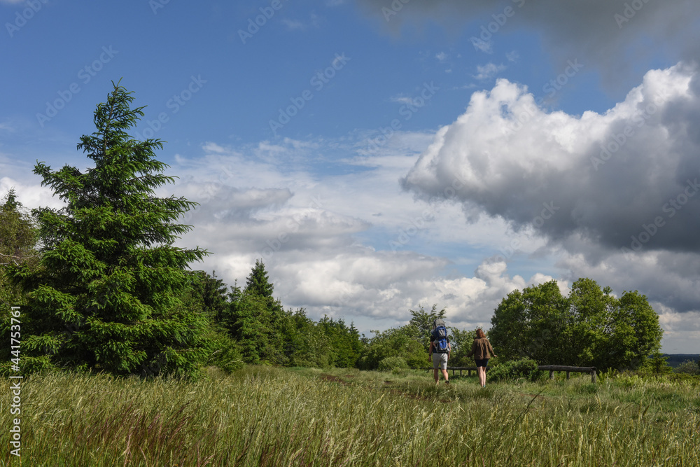 Belgique Wallonie Hautes Fagnes paysage tourisme balade nature promenade environnement 
