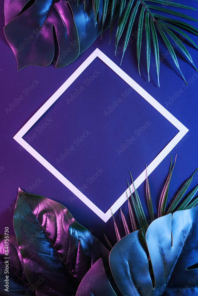 Frame with a white border and copy space with modi tropical palm leaves ...