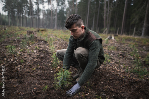 Close-up on a young man in a green clothes plants a young pine seedling in the forest. Work in forest. Pinus sylvestris, pine forest.