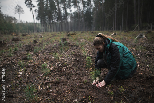 Close up on a young woman middle of the forest preparing to plant a new pine seedling. Young handsome woman works in the forest. Forest work, pinus sylvestris. 