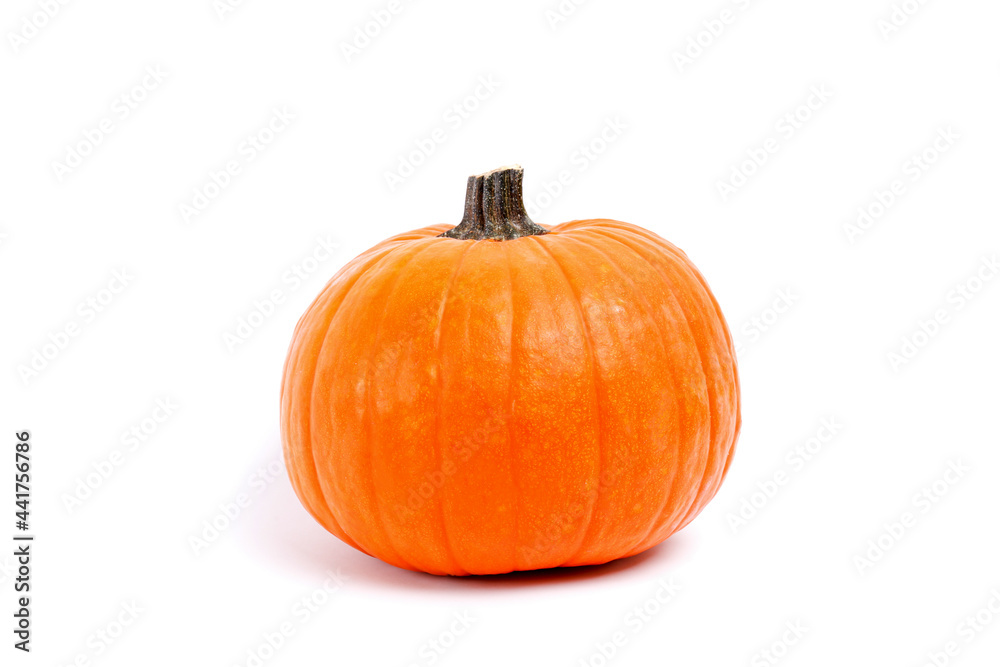 Close up shot of a single classic orange pumpkin isolated on bright background as a symbol of autumnal holidays with a lot of copy space for text.polished Close up shot of a single classic orange pumpkin isolated on bright background as a symbol of autumnal holidays with a lot of copy space for text.polished