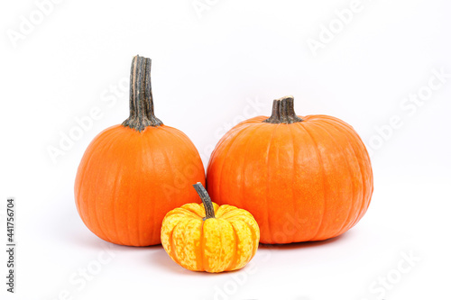 Close up shot of a classic orange and baby boo pumpkins isolated on white background as a symbol of autumnal holidays with a lot of copy space for text.