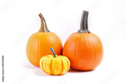 Close up shot of a classic orange and baby boo pumpkins isolated on white background as a symbol of autumnal holidays with a lot of copy space for text.