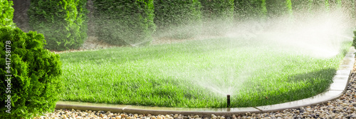 Sprinklers watering grass, green lawn in garden photo