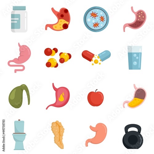 Digestion icons set flat vector isolated