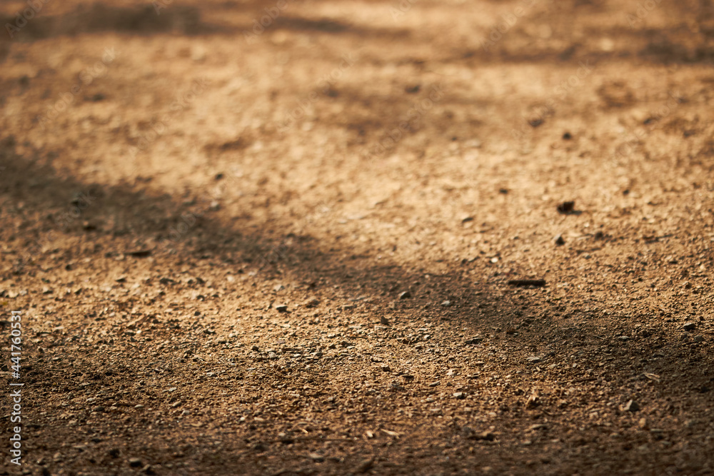 Close up of dirt path on a sunny day Close up of dirt path on a sunny day