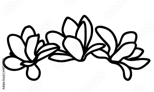 Black line flowers magnolia isolated on white background. Flat design for metal wall art or t-shirt printing. Vector illustration