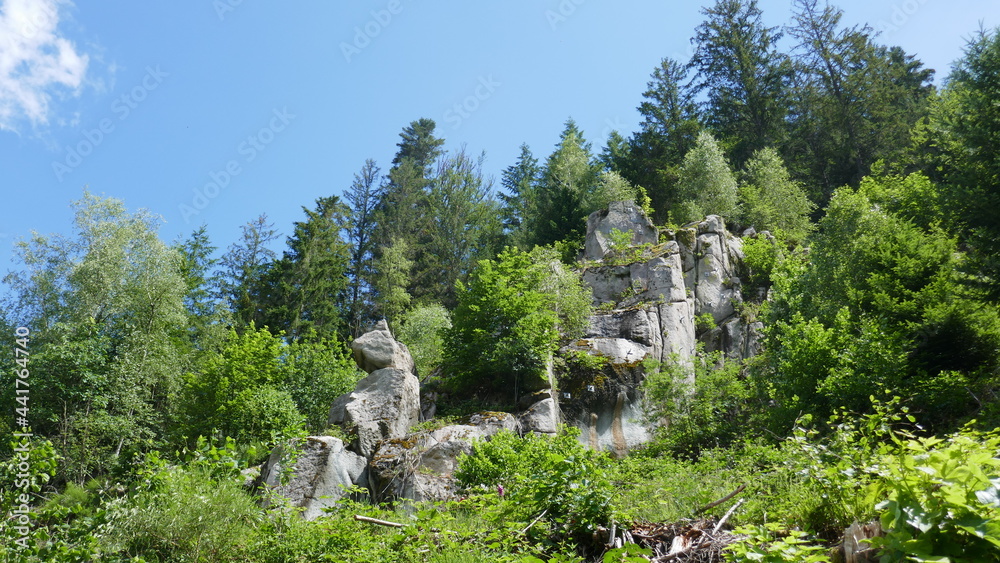 Felsen im Nordschwarzwald
