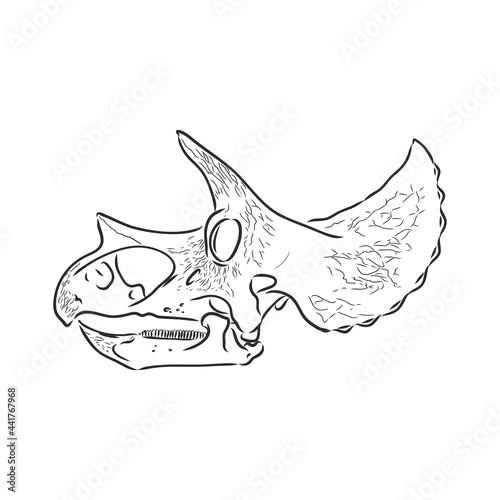 Graphical triceratops isolated on white background,vector illustration for printing