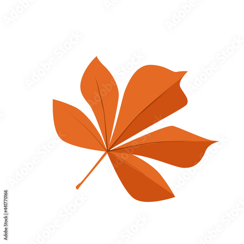 One vector autumn chestnut leaf isolated on a white background. Flora and fauna