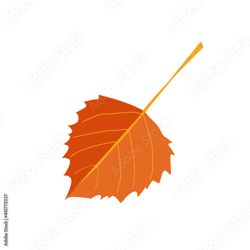 Vector autumn orange poplar leaf in cartoon style on a white background. The beautiful World of nature