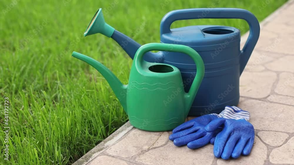 Large and small watering can for gardening on lawn background. Gardener's set with rubber blue gloves. Summer season for watering plants and caring for grass in the country. Large and small watering can for gardening on lawn background. Gardener's set with rubber blue gloves. Summer season for watering plants and caring for grass in the country.