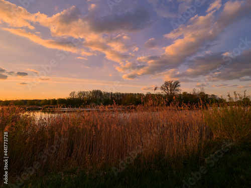 Sonnenuntergang im Vogelschutzgebiet NSG Garstadt bei Heidenfeld im Landkreis Schweinfurt  Unterfranken  Bayern  Deutschland