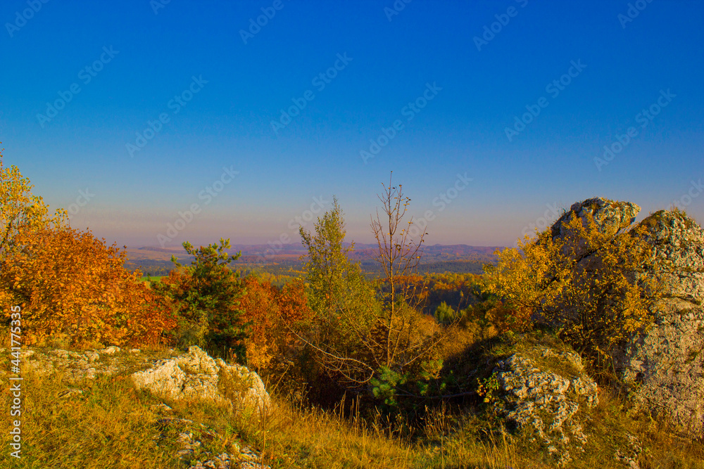 Fototapeta premium Poland