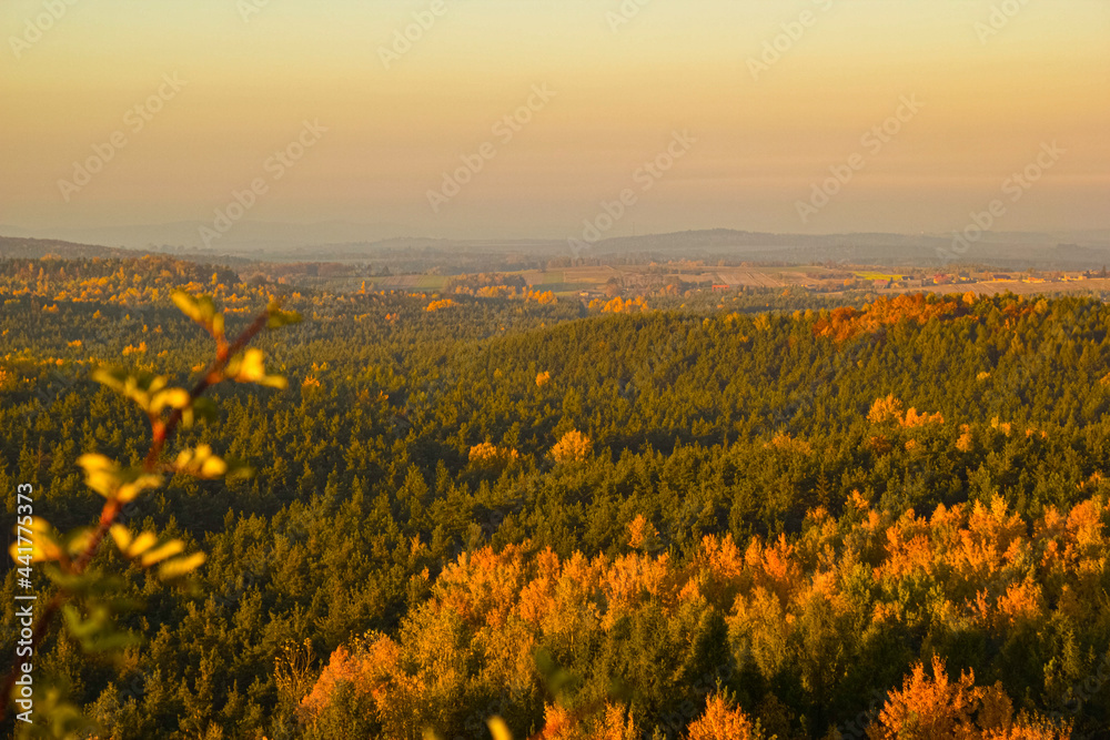 Obraz premium Poland