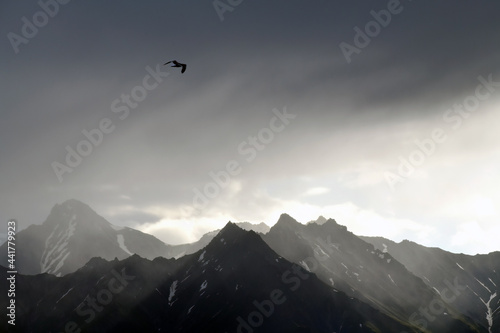 A lone gull flies through storm clouds over a rugged Alaska mountain landscape
