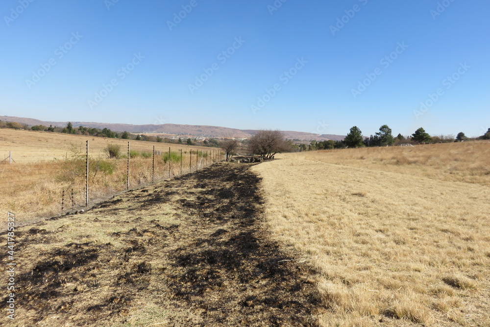 Landscape photograph of dry dull beige grass surrounded by burnt black grass that has been cut and burnt for a fire break. hilltops in the far distance under a blue sky