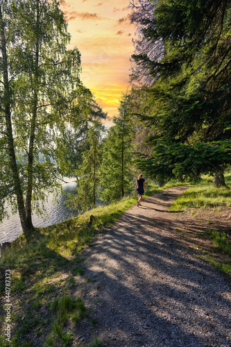 Walk in the park. This beautiful park is located in Oslo, Norway. It has a preserved old building open for the public. Sheep's are grassing freely. Ducks and wildlife are also found here.  