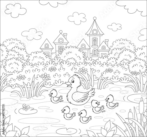 Cute duck and a merry brood of little ducklings on a pretty pond near a small village on a summer day, black and white outline vector cartoon illustration for a coloring book page