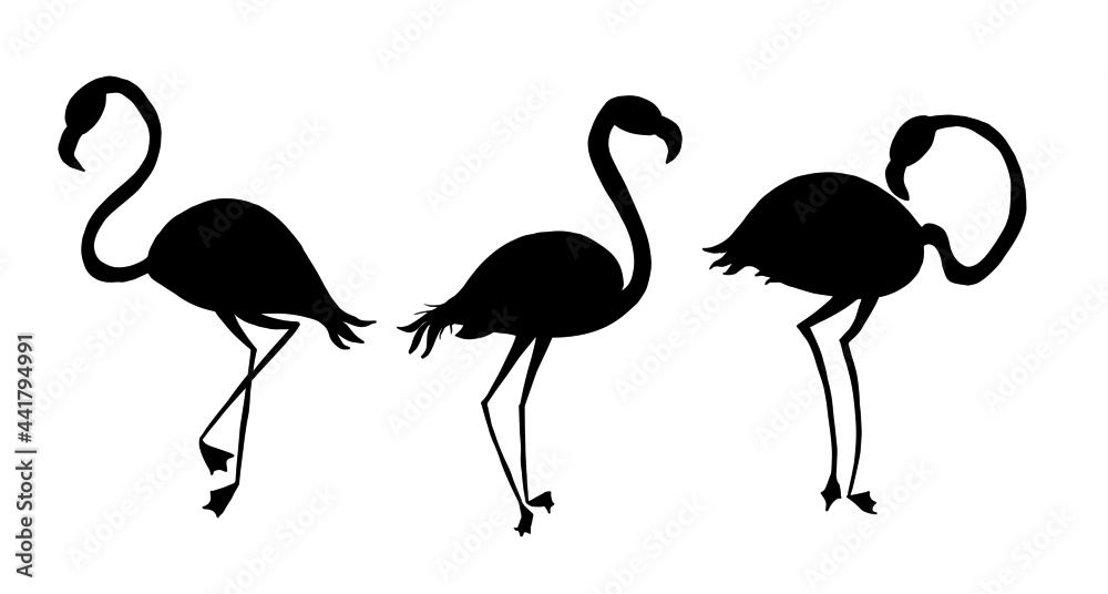 Naklejka premium A group of flamingos in different poses. Black silhouette. Vector illustration.