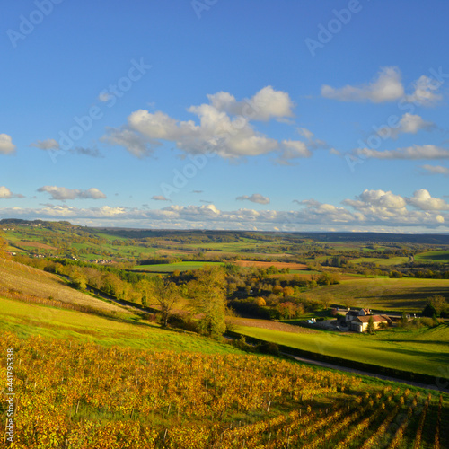 Carré la vallée dorée de Vézelay (89450), département de l'Yonne en région Bourgogne-Franche-Comté, France