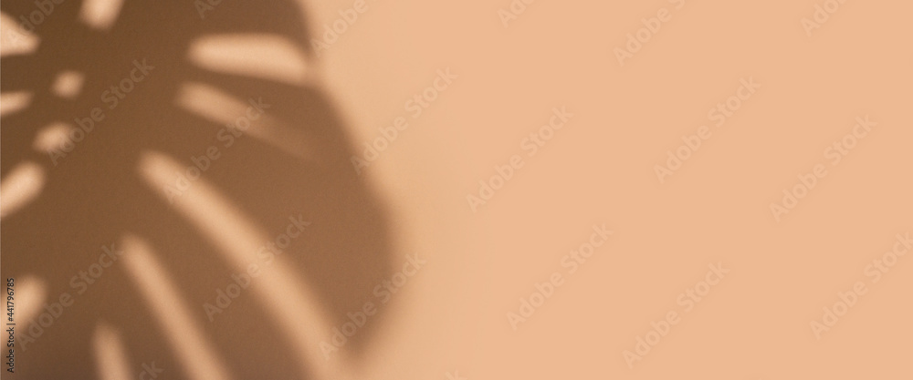 Fototapeta premium Monstera tropical leaf shadow on gold background. Top view, flat lay. Banner