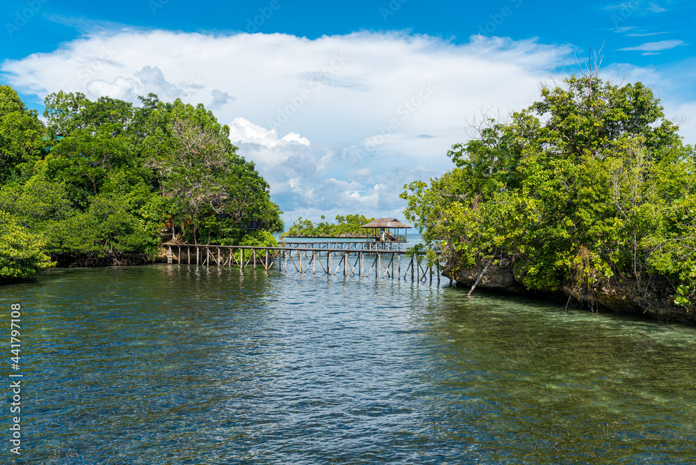 Obraz premium The bungalows in the Togian Islands resorts are often hidden on beautiful islets connected by boardwalks in shallow water. It's a paradise for divers and snorkelers and offers an incredible diversity 