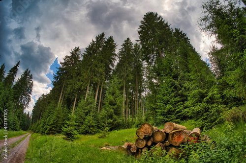 Hiking on the Rennsteig in the Thuringian Forest 