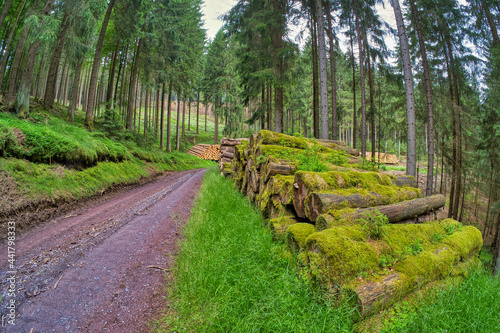 Hiking on the Rennsteig in the Thuringian Forest 