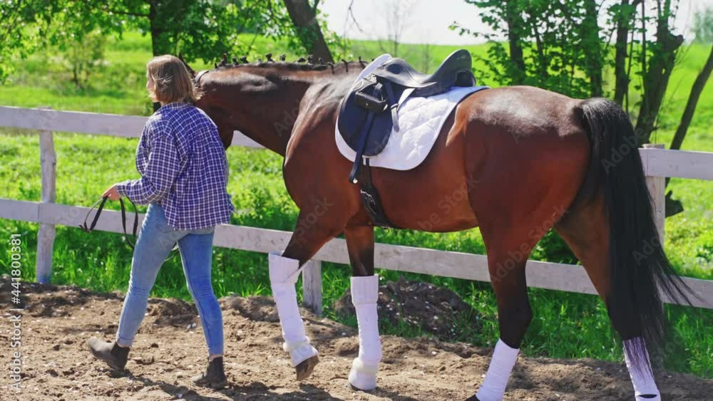 Girl taking her beautiful brown horse for a ride. Horse wearing