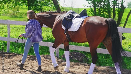 Girl taking her beautiful brown horse for a ride. Horse wearing stocking and with a white saddle. Sunlight hitting the shiny horse coat. Love for horses. Horse riding for leisure. Side view. photo