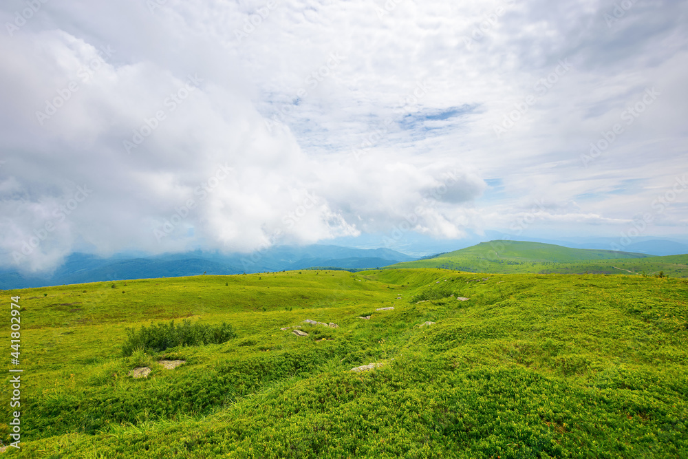 hills and meadows on the mountain plateau. wonderful green summer landscape. clouds on the sky, calm weather