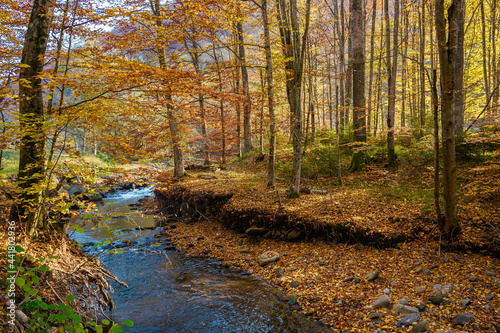 mountain river in the forest. beautiful autumn landscape with trees in colorful foliage. nature scenery in morning light © Pellinni