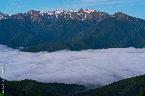 Low Clouds And High Mountains at Hurricane Hill Trail, Olympic National Park