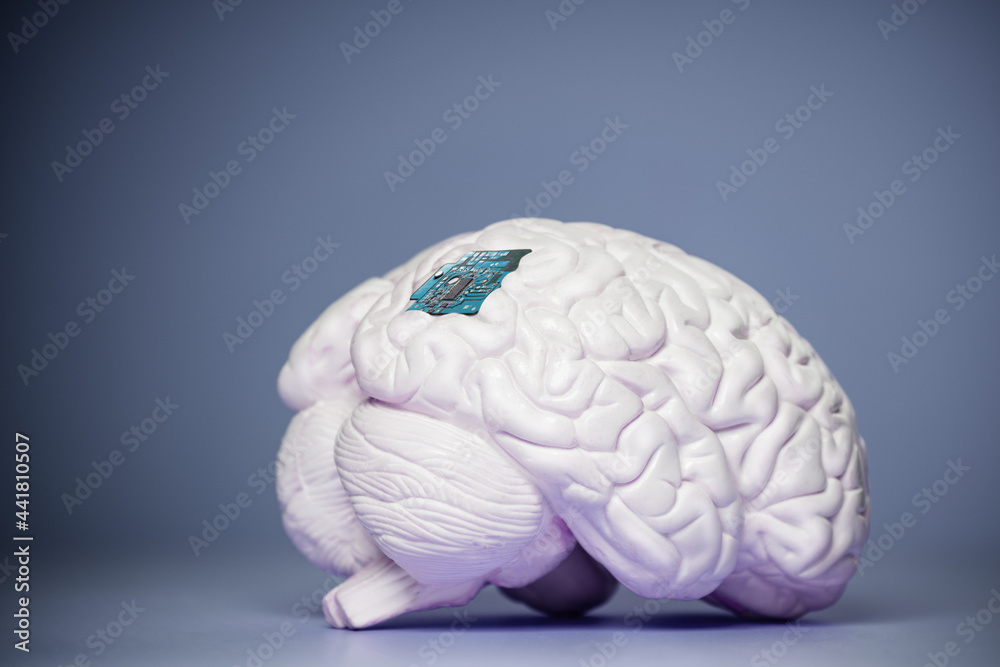 i Brain Computer Interface With Chip Embedded Stock 写真 Adobe Stock