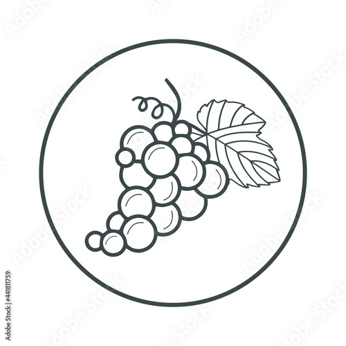 Grape icon (raisins, winery icon) Vector illustration