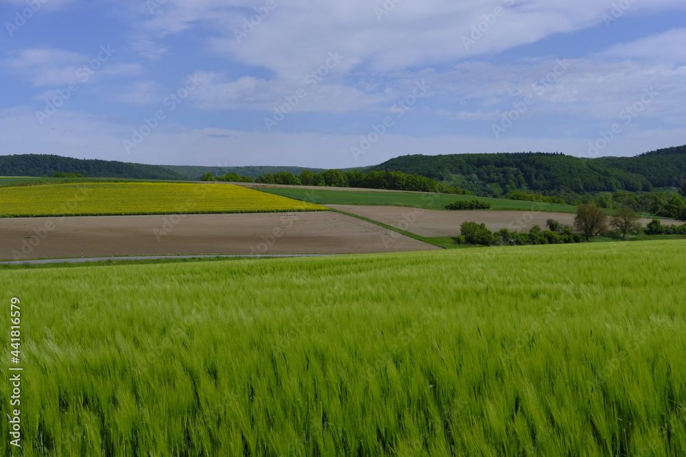 Obraz premium Landschaft im Naturschutzgebiet Hohe Wann zwischen Zeil am Main und Krum, Landkreis Hassberge, Unterfranken, Franken, Bayern, Deutschland