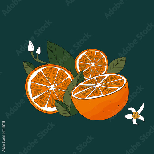 orange slices
