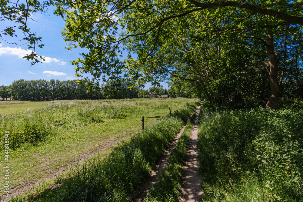 Shadow path