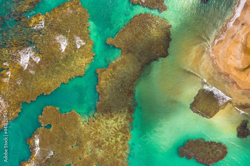 Drone Top Down Over Water Reefs Puerto Rico photo