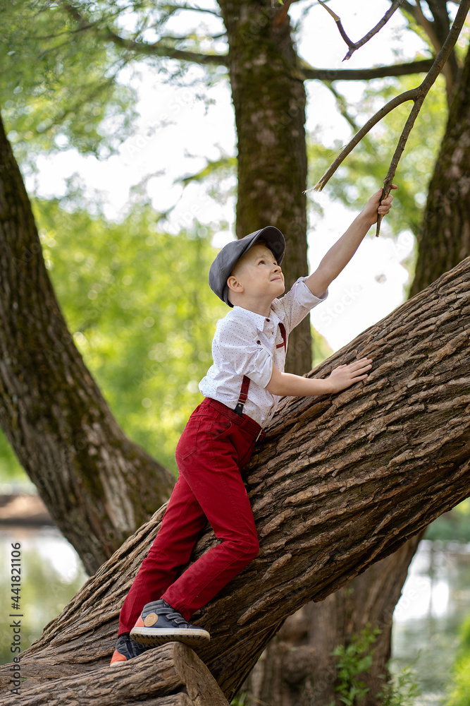 Best Little Boy Wear Red Trousers on Suspenders and White Shirt  Illustration download in PNG  Vector format