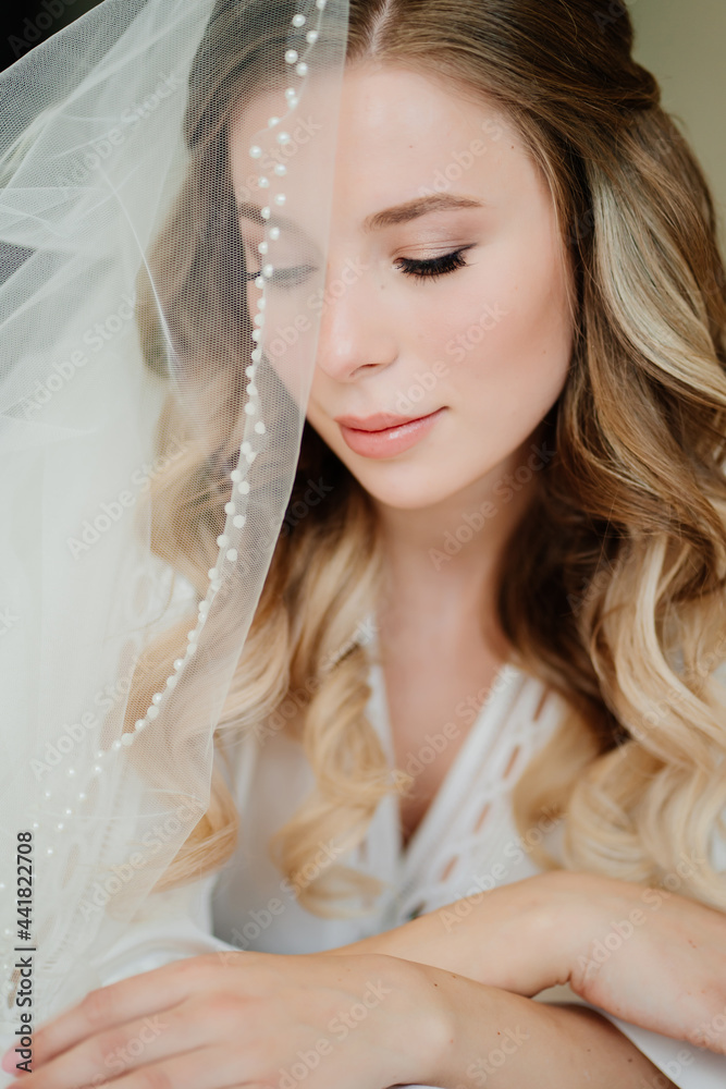 the bride's morning. a beautiful young woman with long hair under the veil the bride's morning. a beautiful young woman with long hair under the veil