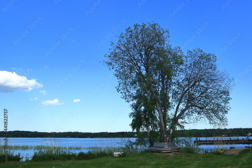 Fototapeta premium Nice view over a Swedish landscape and water. Part of lake Malar or Mälaren. Summer weather a sunny day. Close outside of Stockholm, Sweden, Scandinavia, Europe.